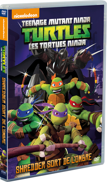 Les tortues ninja